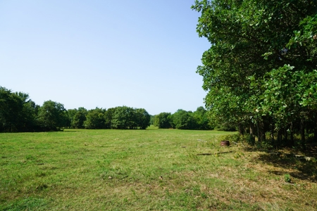 Leflore County Mountain Land For Sale - image 8