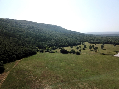 Leflore County Mountain Land For Sale - image 40