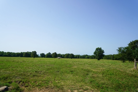 Leflore County Mountain Land For Sale - image 4