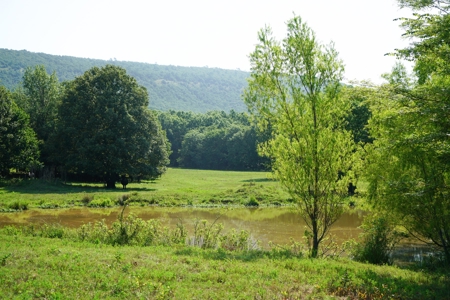 Leflore County Mountain Land For Sale - image 9