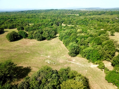 Leflore County Mountain Land For Sale - image 48