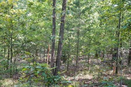 Leflore County Mountain Land For Sale - image 16