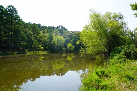 Leflore County Mountain Land For Sale - image 25