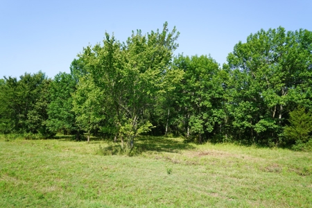 Leflore County Mountain Land For Sale - image 5