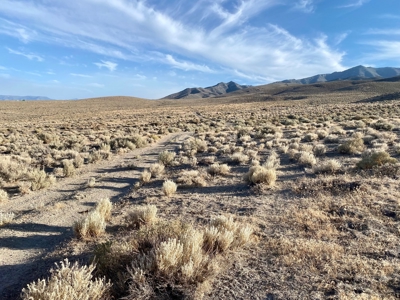 Land for Sale near Unionville, NV - image 8