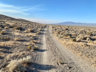 Land for Sale near Unionville, NV - image 6