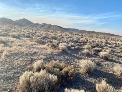 Land for Sale near Unionville, NV - image 9