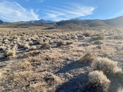 Land for Sale near Unionville, NV - image 7