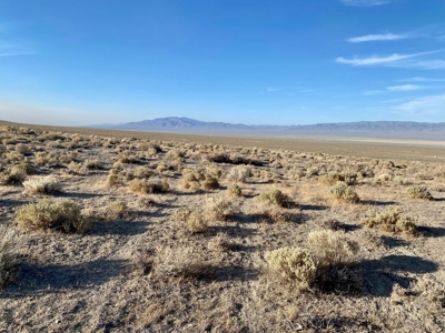 Land for Sale near Unionville, NV - image 4