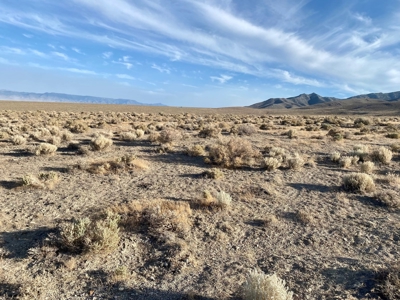 Land for Sale near Unionville, NV - image 1