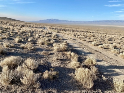 Land for Sale near Unionville, NV - image 10