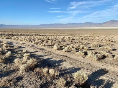 Off the grid land for sale near Unionville, NV - image 1