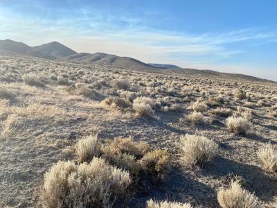 Off the grid land for sale near Unionville, NV - image 10