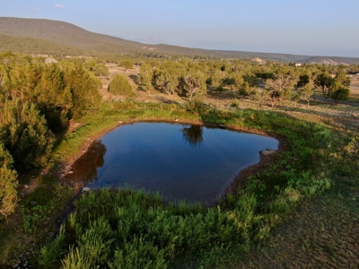 Colorado Mountain Luxury Home For Sale on 13 Acres - image 8