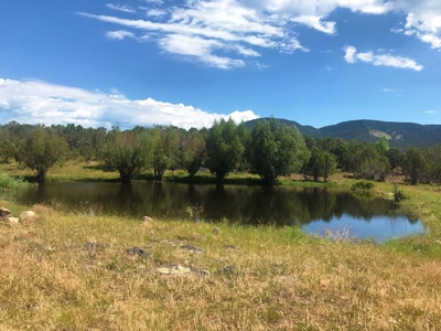 Colorado Mountain Luxury Home For Sale on 13 Acres - image 2