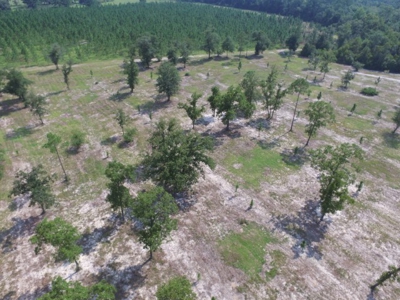Let's go to the Country! Magnificent Country Home Site! - image 5
