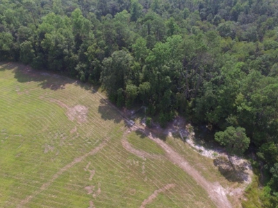 Let's go to the Country! Magnificent Country Home Site! - image 9