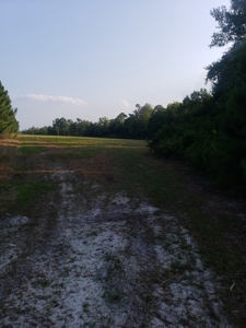 Let's go to the Country! Magnificent Country Home Site! - image 4