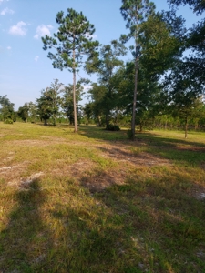 Let's go to the Country! Magnificent Country Home Site! - image 2
