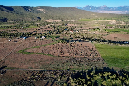 Redlands Mesa Building Lots For Sale, Delta County, Colorado - image 10