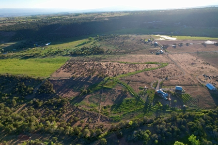 Redlands Mesa Building Lots For Sale, Delta County, Colorado - image 14