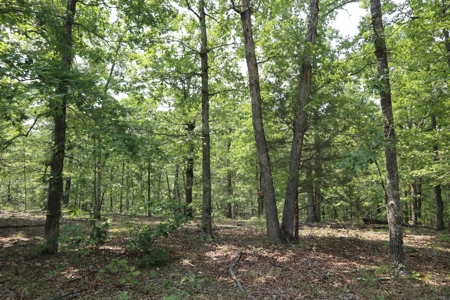 Ozarks Recreation and Building Property with Vista View - image 16