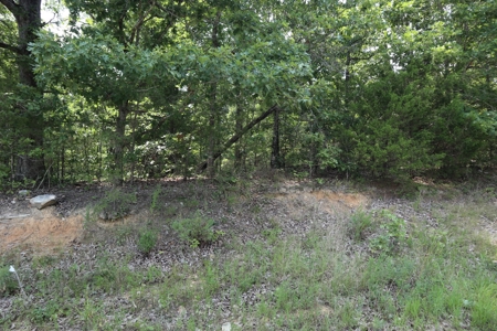 Ozarks Recreation and Building Property with Vista View - image 23