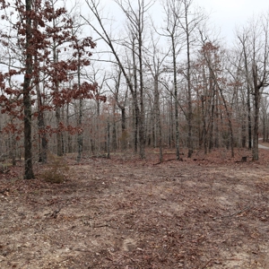 Ozarks Recreation and Building Property with Vista View - image 8