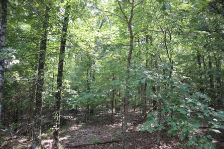 Ozarks Recreation and Building Property with Vista View - image 20