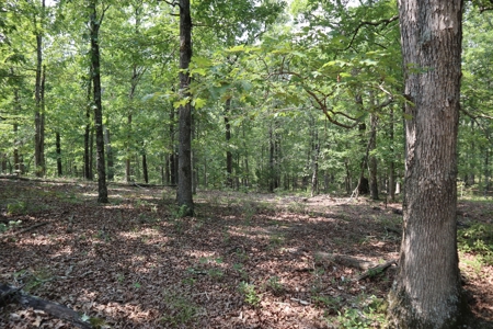 Ozarks Recreation and Building Property with Vista View - image 15