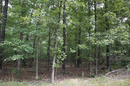 Ozarks Recreation and Building Property with Vista View - image 17