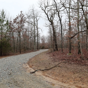 Ozarks Recreation and Building Property with Vista View - image 3
