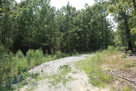 Ozarks Recreation and Building Property with Vista View - image 25