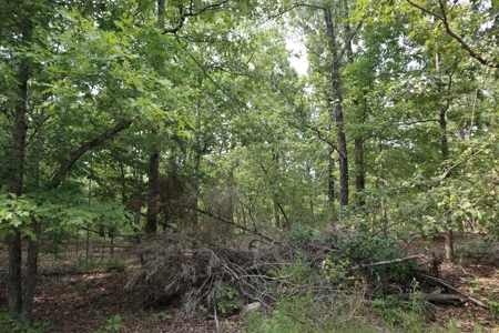 Ozarks Recreation and Building Property with Vista View - image 19