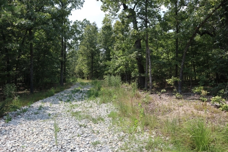 Ozarks Recreation and Building Property with Vista View - image 26