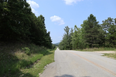 Ozarks Recreation and Building Property with Vista View - image 21