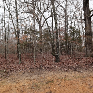 Ozarks Recreation and Building Property with Vista View - image 2