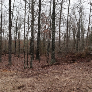 Ozarks Recreation and Building Property with Vista View - image 7