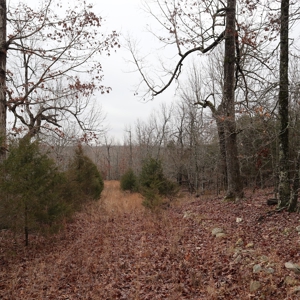 Ozarks Recreation and Building Property with Vista View - image 9