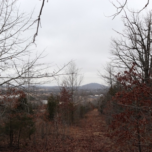 Ozarks Recreation and Building Property with Vista View - image 13