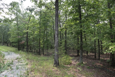 Ozarks Recreation and Building Property with Vista View - image 18