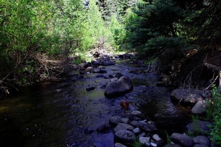 Mountain Recreation Property Paonia Colorado - image 12