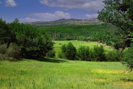 Mountain Recreation Property Paonia Colorado - image 3