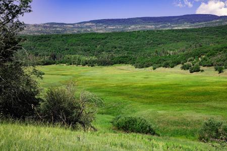 Mountain Recreation Property Paonia Colorado - image 4