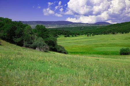 Mountain Recreation Property Paonia Colorado - image 2