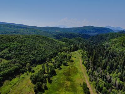 Mountain Recreation Property Paonia Colorado - image 22