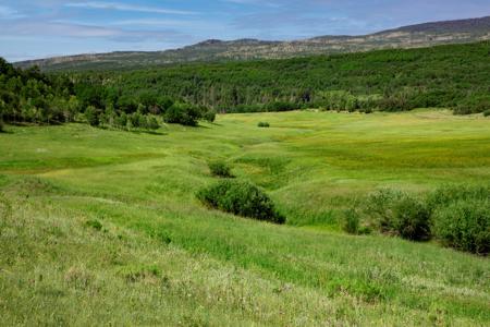 Mountain Recreation Property Paonia Colorado - image 5