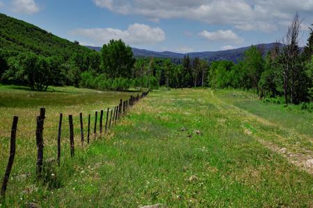 Mountain Recreation Property Paonia Colorado - image 10