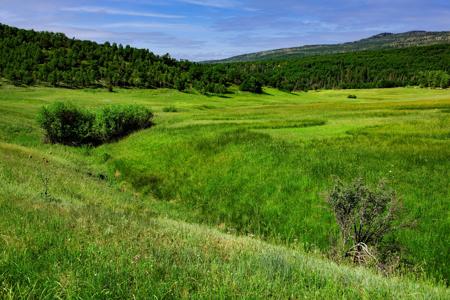 Mountain Recreation Property Paonia Colorado - image 6