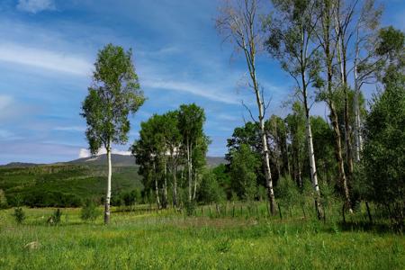 Mountain Recreation Property Paonia Colorado - image 11